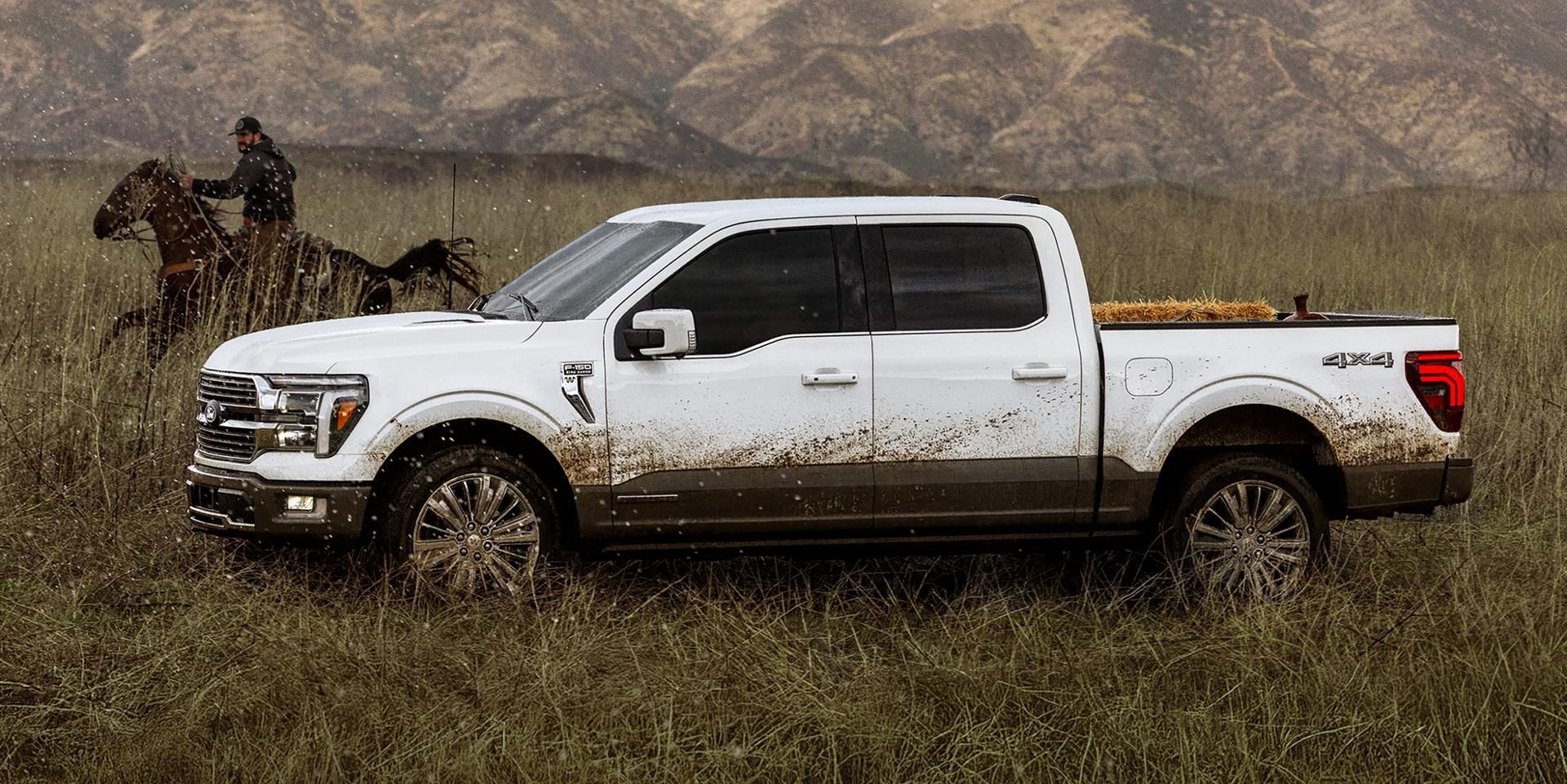 F150 mosaic2 v11769664789323